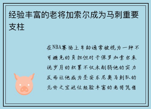 经验丰富的老将加索尔成为马刺重要支柱